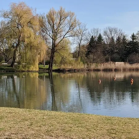 Gaeste- Und Glaeser * Zwickau