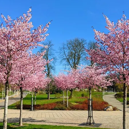 Gaeste- Und Glaeser * Zwickau