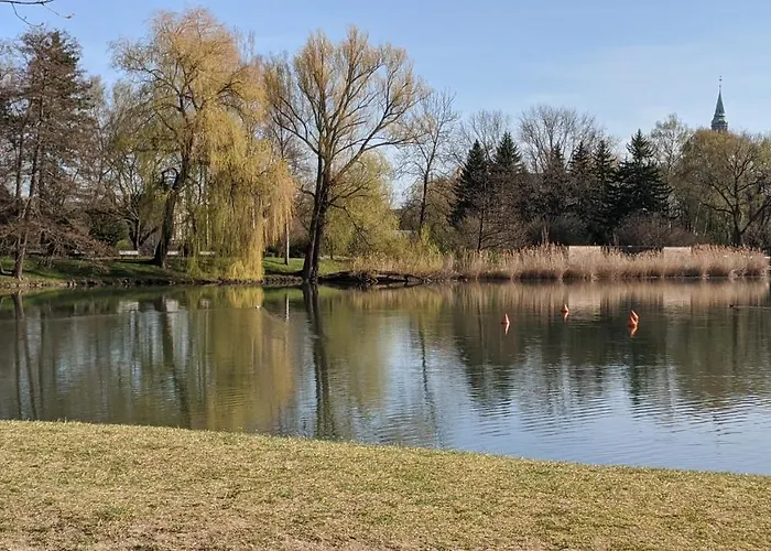 Gaeste- Und Glaeser * צוויקאו